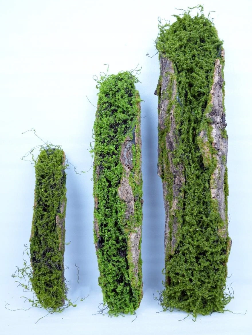 Wooden Base With Green Moss Big